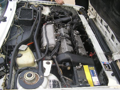 PA020067.JPG