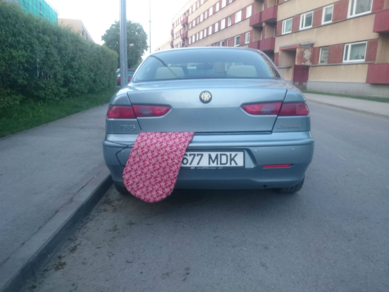 Alfa.jpg